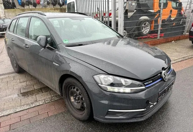 volkswagen golf lubin Volkswagen Golf cena 26000 przebieg: 82000, rok produkcji 2018 z Lubin